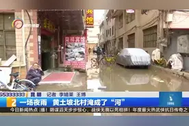 一场夜雨 黄土坡北村淹成了“河”视频封面