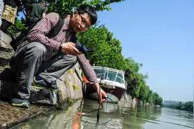 以“网”治水 只要晒“日光浴”就能让浑浊河水变干净图片