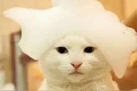 选对花洒，让你远离洗澡“打游击”的窘境图片