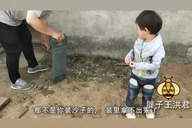 院子越来越有样了，六年没住人的院子就得一点一点的收拾，加油视频封面