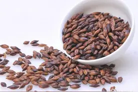 大麦茶的存放方法图片