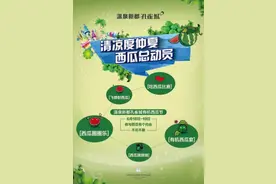 清凉度仲夏 温泉新都孔雀城有机西瓜节第一季开启图片