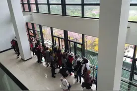 华农赏花变“伤花”? 花季过后草坪要维护四个月才能恢复原貌图片