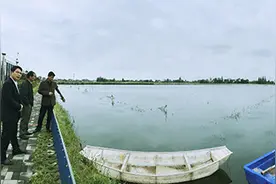 湖南小龙虾产量全国第三 省会长沙吃虾单笔价全国第八图片