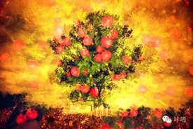 花花世界的重曝技巧图片