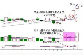 亏损数年老股民发现的选股绝技：简单一招 只赚不亏！图片