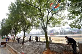 体育场路人行道进行改造提升图片