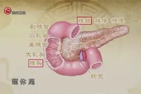 推胰区降血糖小妙招，每天两分钟就能降低糖尿病患病风险