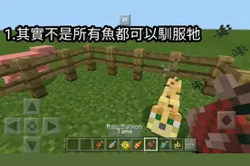 我的世界：关于豹猫，你可能不知道的事！