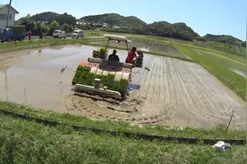 日本的水稻插秧机，一整块田两个人10分钟不到，就栽插完了视频封面