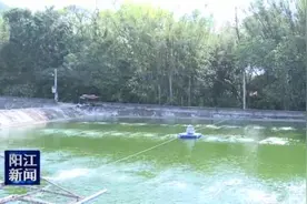 阳西：鳗鱼养殖效益高图片