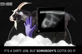 《收获日2》最新DLC将与《模拟山羊》进行联动图片