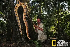 亚马逊历险记图片