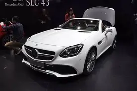 哭也没用，奔驰AMG S65敞篷版你就是买不到图片