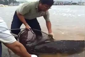 大鱼咬钩男子苦战好久终于将大鱼拉上岸