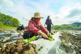 湖南省确定11个县为深度贫困县：为何是它们？图片