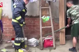 实拍民宅突现1米长红蛇，特警全副武装拿斧头砸中蛇头视频封面