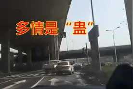 涂磊解密多情是“蛊”的最终含义视频封面