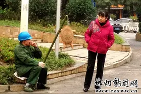 “野生甲鱼”当街卖 提醒市民别上当图片