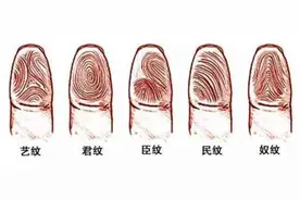 指纹几个斗，代表什么命？有点意思！图片