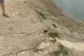 江西老表太有才了，端午节划龙船排练视频封面