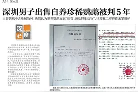 深圳“鹦鹉案”二审 律师作无罪辩护图片