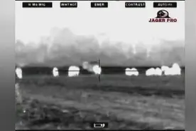 野猪破坏农场，猎人使用热成像夜视仪猎杀，一晚上收获13头野猪图片