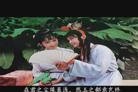 《红楼梦》宝玉为晴雯所写祭文，堪比屈原的《离骚》图片
