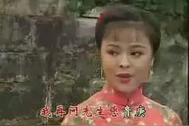 黄梅戏 啼笑姻缘选段 忙中未问名和姓图片