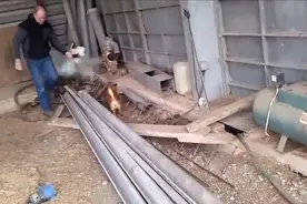 男子往排水道里扔烟雾剂，呛出来老鼠后，狗狗在外边围捕！图片