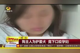 湖北 狗主人为护爱犬 竟下口咬孕妇视频封面