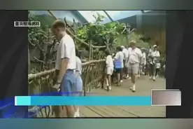 男童坠入猩猩园摔晕 母猩猩抱起后，令所有人都惊了图片