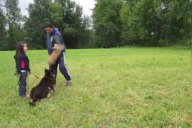 德牧保护孩子远离2个坏蛋视频封面