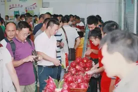突破品质销售瓶颈，打响中国火龙果逆袭之战图片
