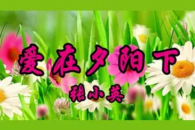 张小英深情经典情歌《爱在夕阳下》甜美极了