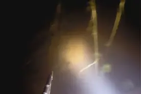 深夜潜水实拍水下世界：乌龟都是叠在一起睡觉的吗？视频封面
