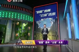 大数据产业为什么成为扩展速度最快的新兴产业之一？一起来了解下视频封面