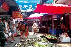 多日无人清理 垃圾堆“霸”道图片