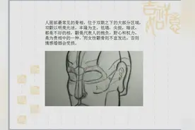 什么是颧骨？俗语说男人颧高四海结英豪，女人颧高杀夫不用刀