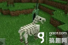 搞趣网：我的世界0.15.0骷髅马怎么驯服 骷髅马驯服攻略图片