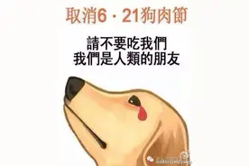 请不少伤害伴侣动物！抵制玉林狗肉节！图片