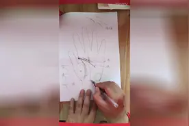 中医诊断-手诊-掌纹看健康(2)14条掌纹线的说明