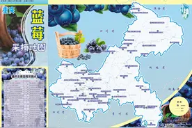 约起来！跟着地图去摘蓝莓！重庆一共有46处图片
