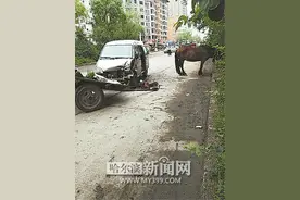 女新手撞马车马儿受惊甩飞车夫图片