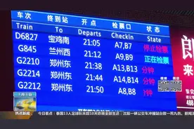 受降雨影响西安北站部分列车晚点，西成高铁6趟动车临时停运视频封面