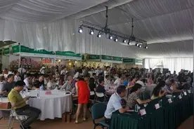 品品香茶业精准扶贫启动仪式暨2016晒白金新品发布会(1)图片