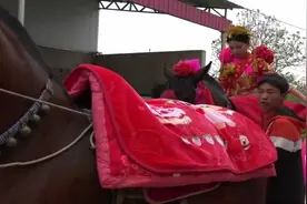 航拍山西农村的结婚习俗，新娘骑马进入新郎家，这风俗见过吗？视频封面