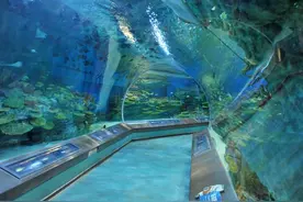 中国这四个水上游乐园，让你这个夏天酣畅淋漓的玩一次！图片