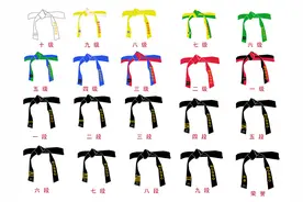 我是绿蓝带了！我5级了！带色和级别是什么关系呢？图片