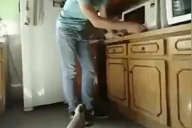 帅哥主人喂猫咪奶吃，猫咪接过奶瓶后的举动令人笑翻图片